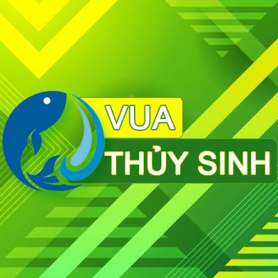 Logo chính của Vuathuysinh